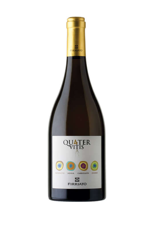 Quater Vitis Bianco