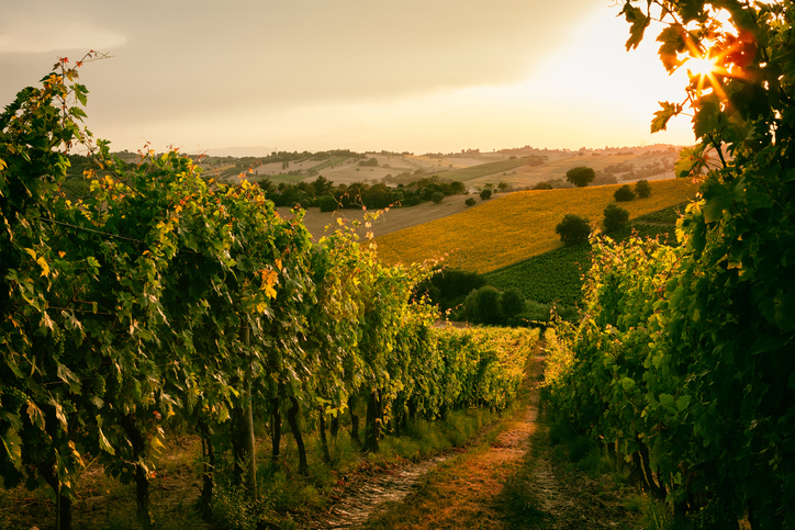 Enoteca Sapori di Sicilia Enoteca Sapori di Sicilia