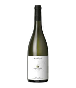 Regiterre Bianco - Musita