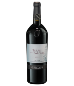 Terre della Baronia Rosso 2019